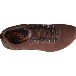 Sneakers|Baskets*Ecco Biom Fjuel M Moka